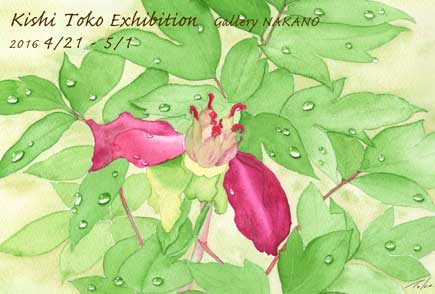 個展のお知らせ2016.04 ギャラリーナカノにて