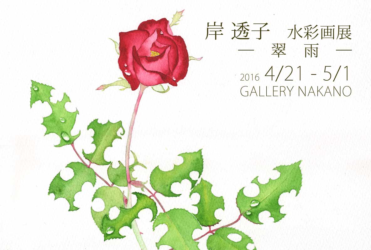 個展のお知らせ2016.04 ギャラリーナカノにて
