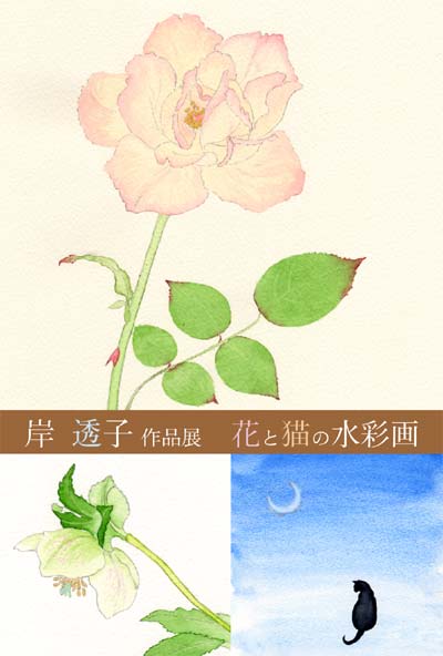 個展のお知らせ 2010.05.13〜25 ギャラリーナカノにて